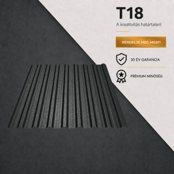 T18 Ral7024 GDM