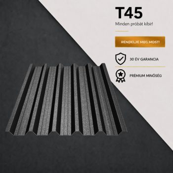 T45 Ral9005 GDM