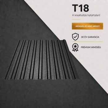 T18 Ral9005 GDM