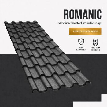 ROMANIC Ral9005 GDM