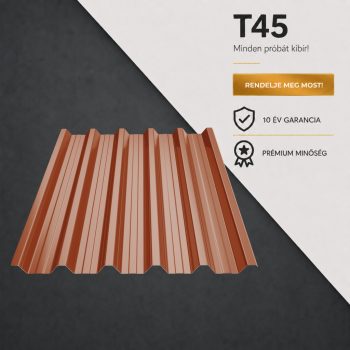 T45 Ral8004