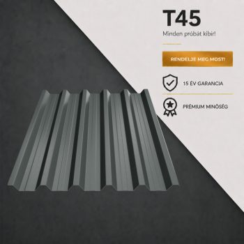 T45 Ral7024 M