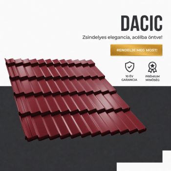 DACIC Ral3005