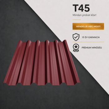 T45 Ral3005 M