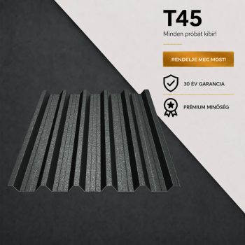 T45 Ral7024 GDM